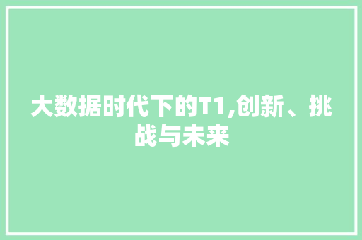 大数据时代下的T1,创新、挑战与未来