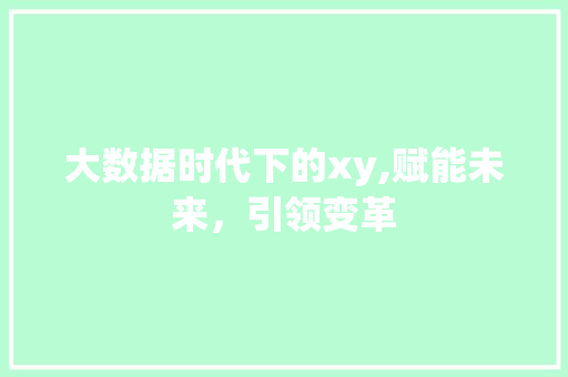 大数据时代下的xy,赋能未来，引领变革