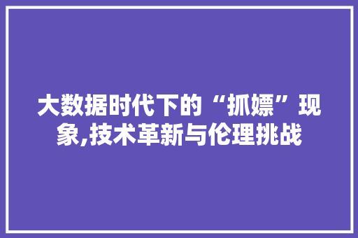大数据时代下的“抓嫖”现象,技术革新与伦理挑战 百度SEO
