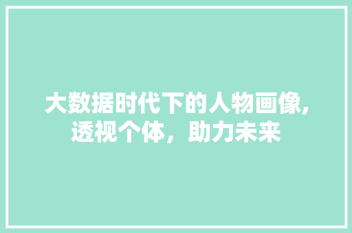 大数据时代下的人物画像,透视个体，助力未来 必应SEO