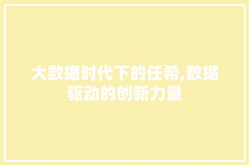大数据时代下的任希,数据驱动的创新力量 GoogleSEO