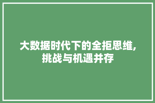 大数据时代下的全拒思维,挑战与机遇并存