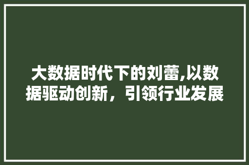 大数据时代下的刘蕾,以数据驱动创新，引领行业发展 搜狗SEO