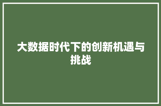 大数据时代下的创新机遇与挑战 百度SEO