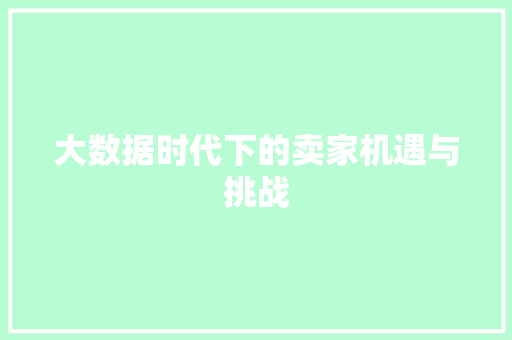 大数据时代下的卖家机遇与挑战 GoogleSEO