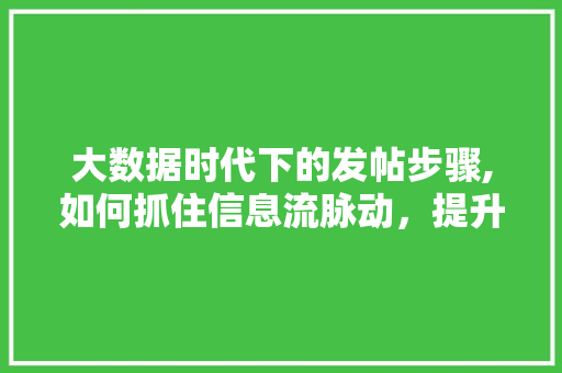 大数据时代下的发帖步骤,如何抓住信息流脉动，提升内容影响力 必应SEO