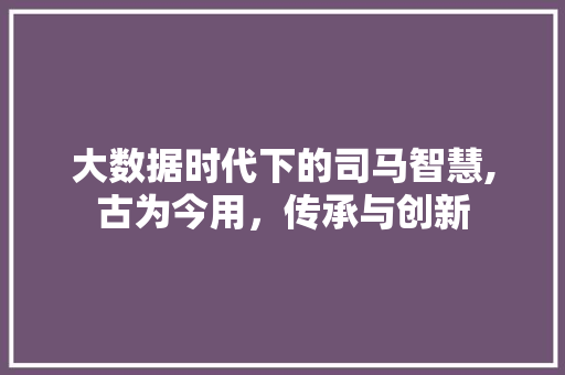 大数据时代下的司马智慧,古为今用，传承与创新 GoogleSEO