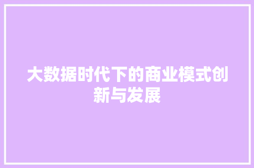 大数据时代下的商业模式创新与发展 神马SEO