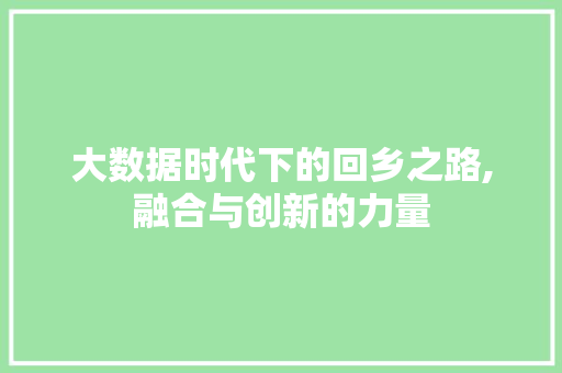 大数据时代下的回乡之路,融合与创新的力量 搜狗SEO