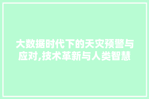 大数据时代下的天灾预警与应对,技术革新与人类智慧的结晶