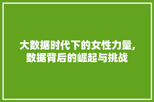 大数据时代下的女性力量,数据背后的崛起与挑战 百度SEO