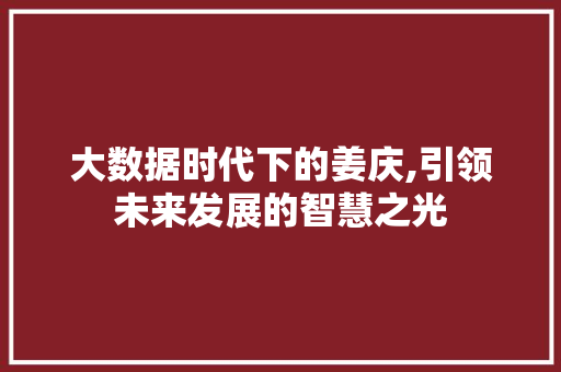 大数据时代下的姜庆,引领未来发展的智慧之光 GoogleSEO