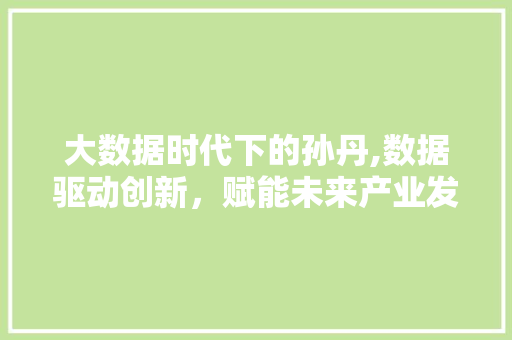 大数据时代下的孙丹,数据驱动创新，赋能未来产业发展 百度SEO