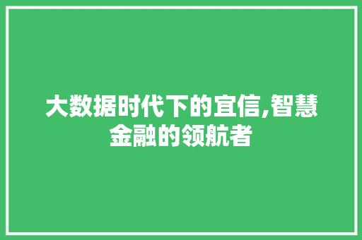 大数据时代下的宜信,智慧金融的领航者 必应SEO