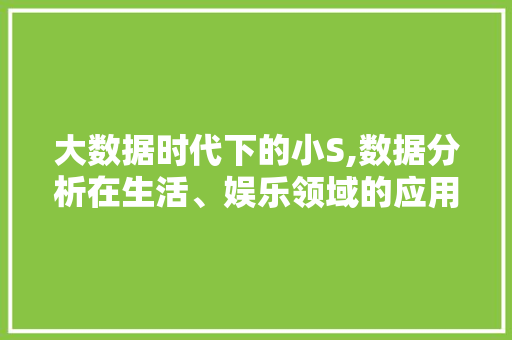 大数据时代下的小S,数据分析在生活、娱乐领域的应用与影响 搜狗SEO