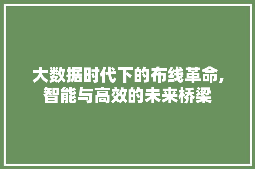 大数据时代下的布线革命,智能与高效的未来桥梁 搜狗SEO
