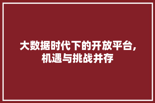 大数据时代下的开放平台,机遇与挑战并存 必应SEO