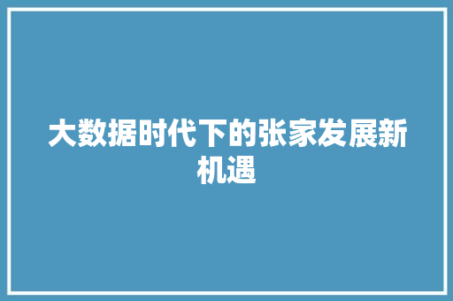 大数据时代下的张家发展新机遇 必应SEO