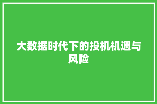 大数据时代下的投机机遇与风险