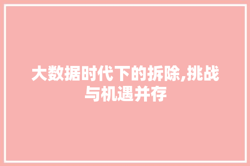大数据时代下的拆除,挑战与机遇并存