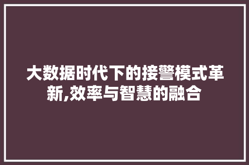 大数据时代下的接警模式革新,效率与智慧的融合 百度SEO