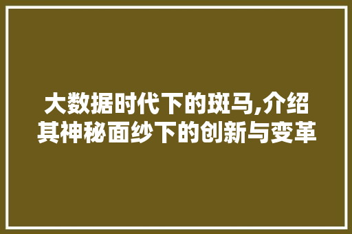 大数据时代下的斑马,介绍其神秘面纱下的创新与变革 必应SEO
