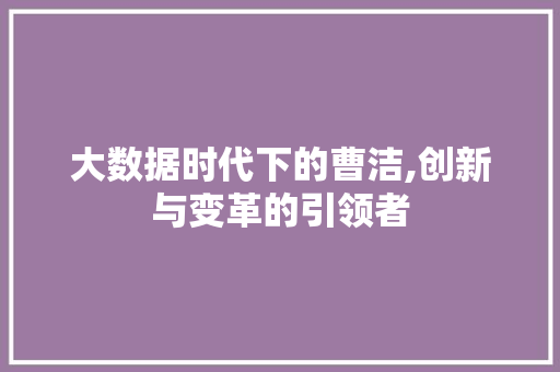 大数据时代下的曹洁,创新与变革的引领者 必应SEO