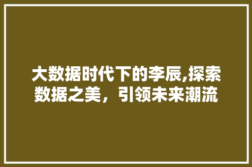 大数据时代下的李辰,探索数据之美，引领未来潮流