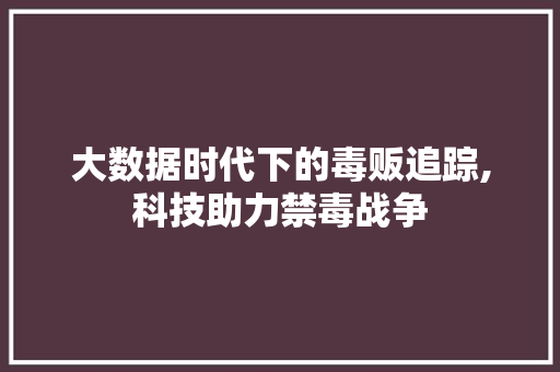 大数据时代下的毒贩追踪,科技助力禁毒战争