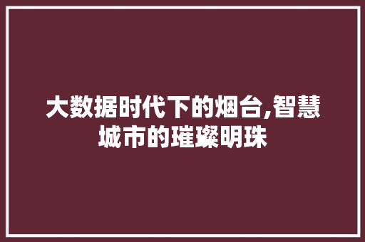 大数据时代下的烟台,智慧城市的璀璨明珠 搜狗SEO