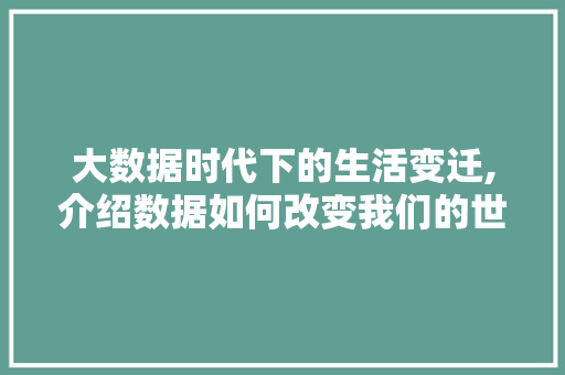 大数据时代下的生活变迁,介绍数据如何改变我们的世界 必应SEO