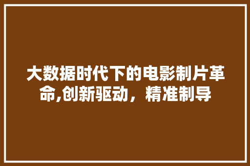 大数据时代下的电影制片革命,创新驱动，精准制导 必应SEO