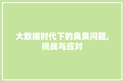 大数据时代下的臭臭问题,挑战与应对 百度SEO