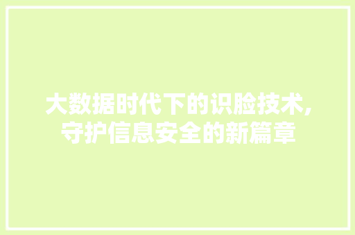 大数据时代下的识脸技术,守护信息安全的新篇章