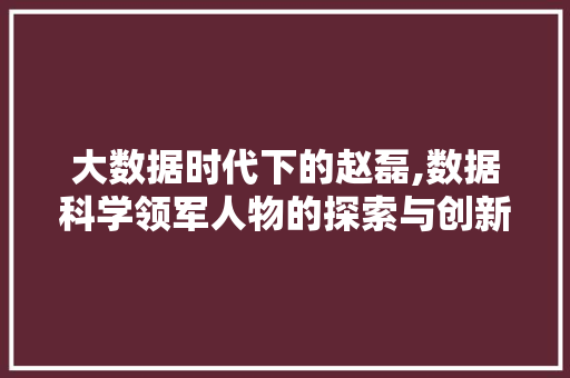 大数据时代下的赵磊,数据科学领军人物的探索与创新