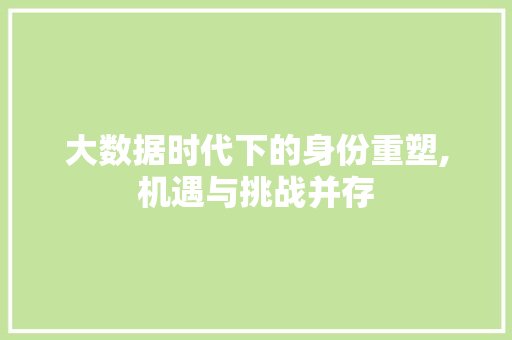大数据时代下的身份重塑,机遇与挑战并存