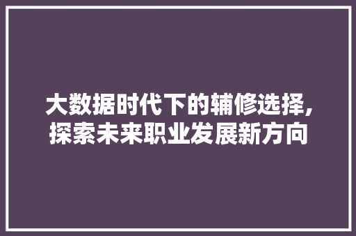 大数据时代下的辅修选择,探索未来职业发展新方向