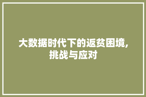大数据时代下的返贫困境,挑战与应对