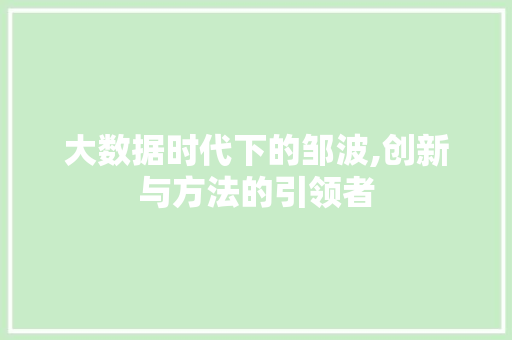 大数据时代下的邹波,创新与方法的引领者 必应SEO