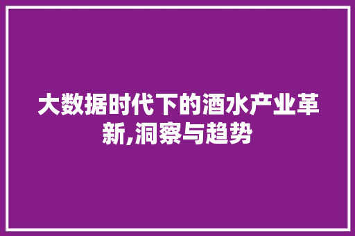 大数据时代下的酒水产业革新,洞察与趋势