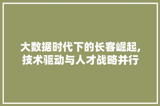 大数据时代下的长客崛起,技术驱动与人才战略并行 必应SEO