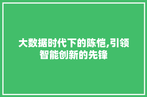 大数据时代下的陈恺,引领智能创新的先锋 必应SEO