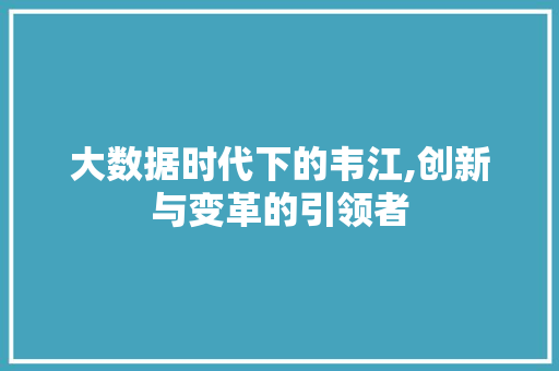 大数据时代下的韦江,创新与变革的引领者 GoogleSEO