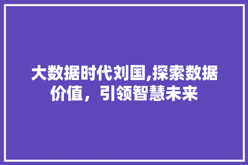 大数据时代刘国,探索数据价值，引领智慧未来