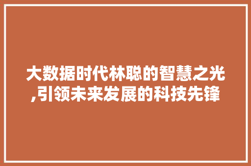 大数据时代林聪的智慧之光,引领未来发展的科技先锋 百度SEO