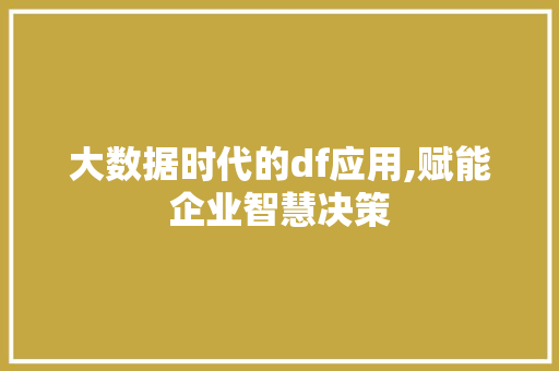 大数据时代的df应用,赋能企业智慧决策 百度SEO