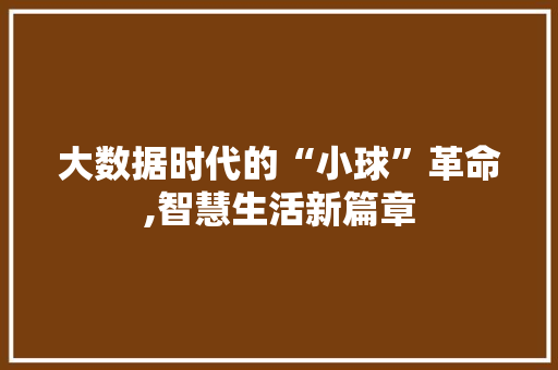 大数据时代的“小球”革命,智慧生活新篇章 神马SEO