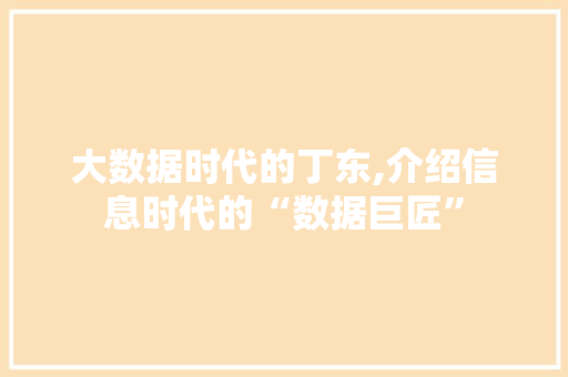 大数据时代的丁东,介绍信息时代的“数据巨匠” 必应SEO