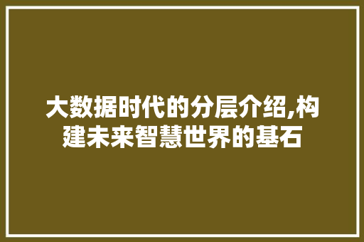 大数据时代的分层介绍,构建未来智慧世界的基石
