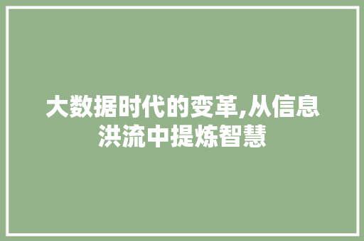 大数据时代的变革,从信息洪流中提炼智慧 神马SEO